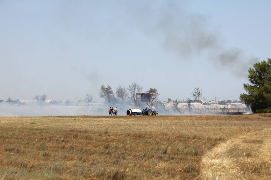 Otluk alanda başladı orman ve seralara sıçradı - Resim: 21